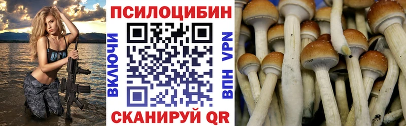 Галлюциногенные грибы Psilocybe  Усть-Лабинск 